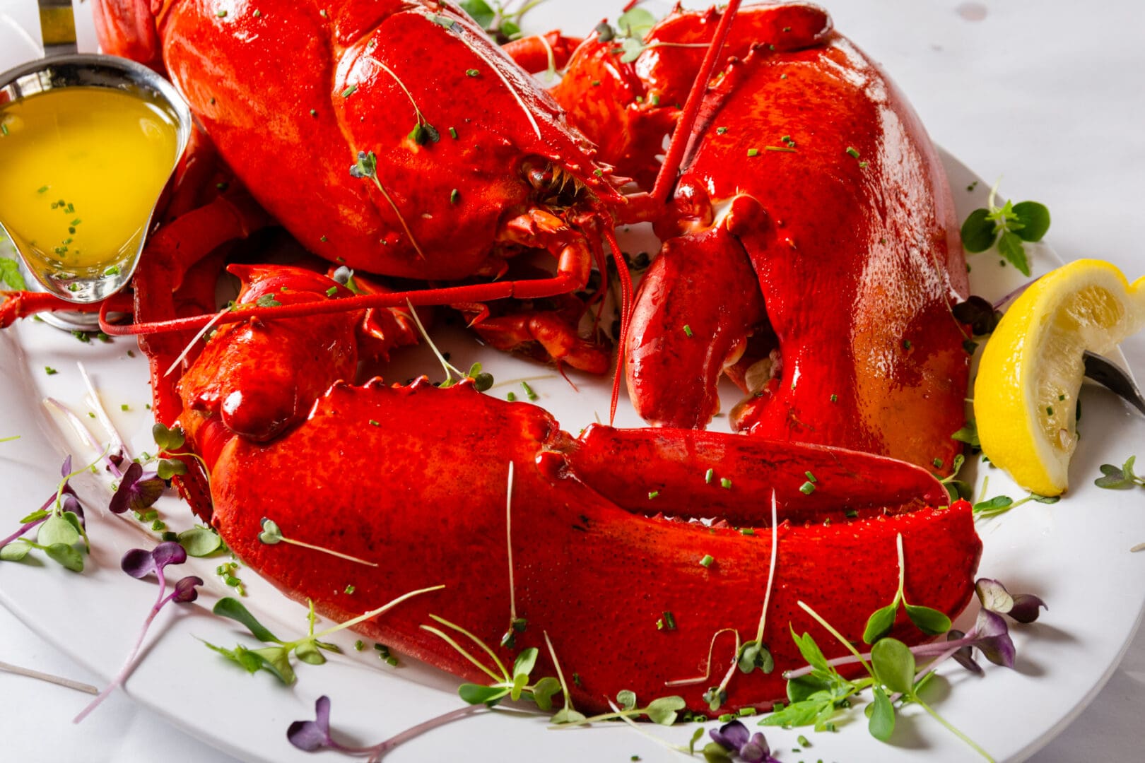 A plate of lobster with fresh herbs on it.